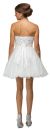 Strapless Lace Bodice Tulle Short Homecoming Party Dress back